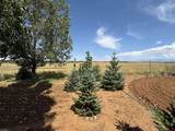 12383 Road M - Photo 38