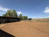 12383 Road M - Photo 40