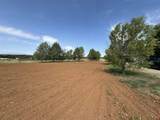 12383 Road M - Photo 41