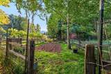 345 Red Rock Road - Photo 41