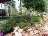 460 Appaloosa Circle - Photo 43
