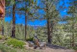 460 Appaloosa Circle - Photo 5