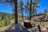 460 Appaloosa Circle - Photo 6