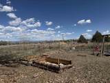 1030 16th Street - Photo 30