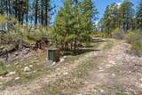 2511 Taylor Ranch Road - Photo 8