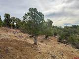 2543 Wrangler Way - Photo 20