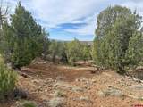 2543 Wrangler Way - Photo 23