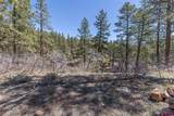 97 Canyon Pines - Photo 4