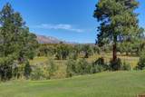 729 County Road 253 - Photo 8