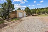 11239 County Road 213 - Photo 29