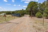 11239 County Road 213 - Photo 32