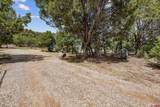 11239 County Road 213 - Photo 33