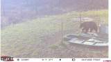 12799 Road 105 - Photo 33
