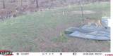 12799 Road 105 - Photo 42