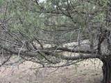 99 Cheyenne Drive - Photo 8