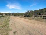 231 Bareback Lane - Photo 17