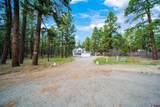 685 Fantango Road - Photo 41