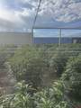 14231 Co Rd 55 Road - Photo 39