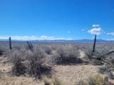 14231 Co Rd 55 Road - Photo 43