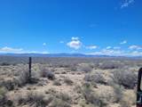 14231 Co Rd 55 Road - Photo 44