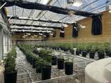 20520 County Road 59 - Photo 23