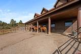 45501 Road L - Photo 41
