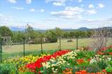281 Stormy Trail - Photo 38