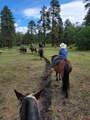 0 Majestic Outfitters, Llc - Photo 1