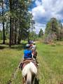 0 Majestic Outfitters, Llc - Photo 10