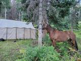 0 Majestic Outfitters, Llc - Photo 11