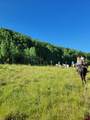 0 Majestic Outfitters, Llc - Photo 6