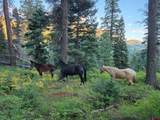 0 Majestic Outfitters, Llc - Photo 8