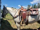 0 Majestic Outfitters, Llc - Photo 9