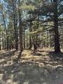 TBD Nordman Drive - Photo 10