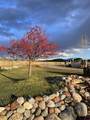 205 Toad Rd - Photo 15