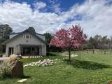 205 Toad Rd - Photo 3