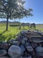 205 Toad Rd - Photo 39