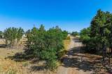 569 Cr 233 - Photo 14