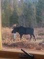 5200 Jackson County Road 49 - Photo 18