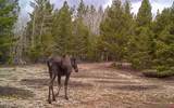 5200 Jackson County Road 49 - Photo 31