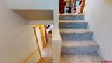 1872 San Juan Springs Drive - Photo 20