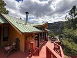 1872 San Juan Springs Drive - Photo 3