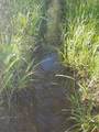 23 County Road 222 - Photo 41