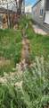 23 County Road 222 - Photo 43