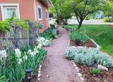 574 Horse Thief Lane - Photo 42