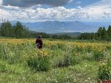 34681 Forest Road 128.G - Photo 1