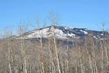 34681 Forest Road 128.G - Photo 30