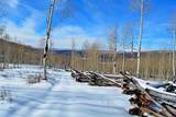 34681 Forest Road 128.G - Photo 36