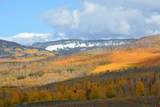 34681 Forest Road 128.G - Photo 7