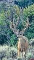 34681 Forest Road 128.G - Photo 9